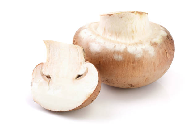 istock Royal Brown champignon with half isolated on white background 924536304