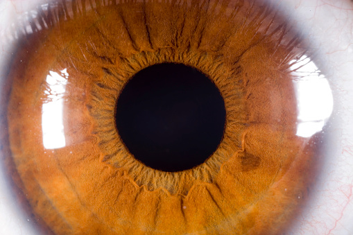 Detail of a human eye.