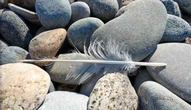 istock Sochi stones polished with Black Sea water 924540892