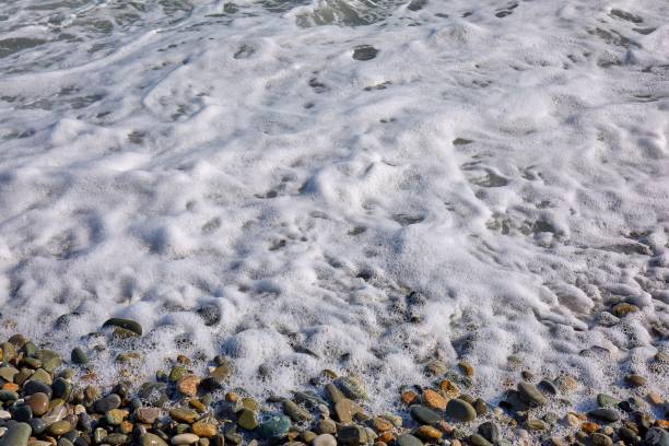istock Sochi stones polished with Black Sea water 924540938