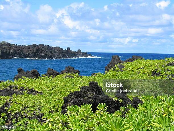 火山岩のグリーンフィールド - カラー画像のストックフォトや画像を多数ご用意 - カラー画像, ハイコントラスト, ハワイ島