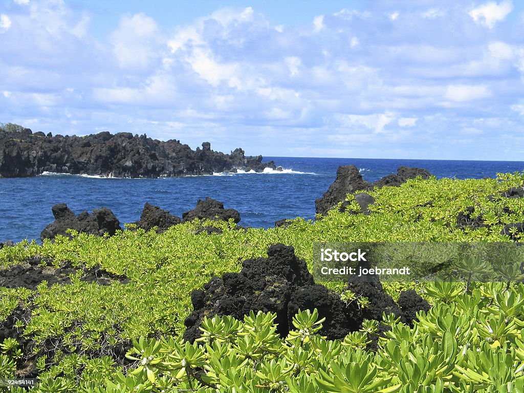 Rocha vulcânica no campo verde - Royalty-free Aberto Foto de stock