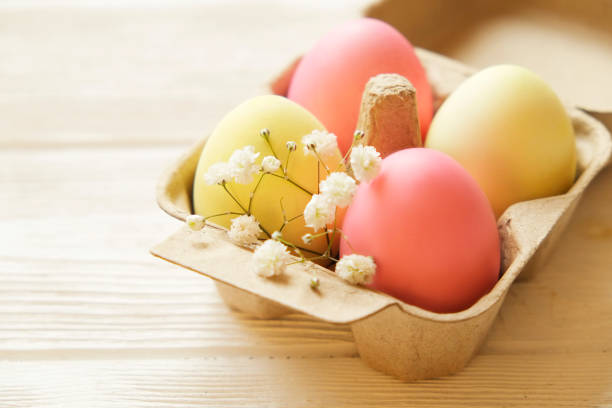 huevos de pascua de diferentes colores pastel puesto y arreglan en la hermosa composición con flores silvestres blancas. tarjeta de felicitación con espacio de texto de copia. - carton multi colored easter egg easter fotografías e imágenes de stock