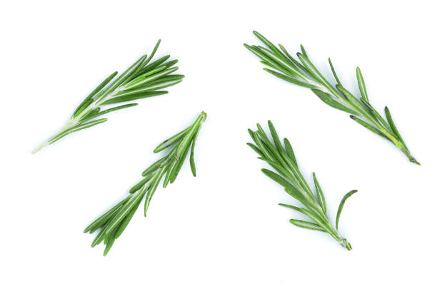 istock Fresh green rosemary isolated on a white background. Top view. Flat lay 924544182