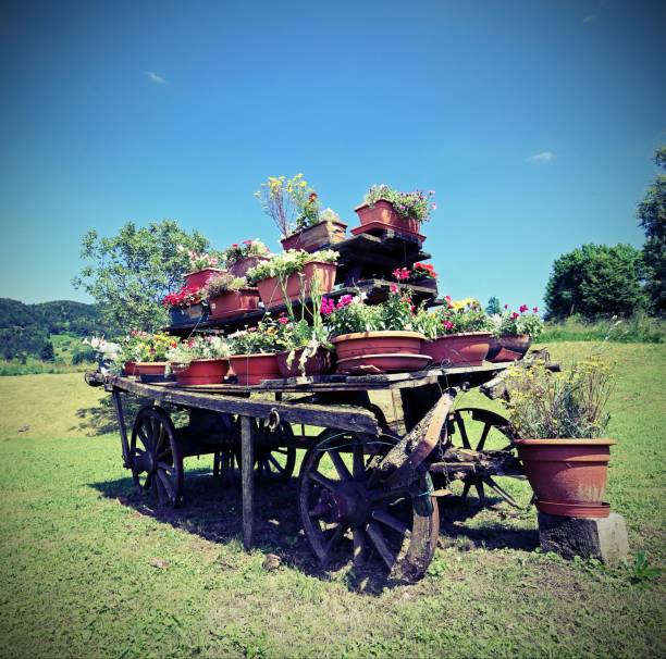 istock wooden cart festooned 924544412