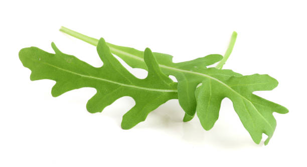 istock Green fresh rucola or arugula leaf isolated on white background macro 924544688