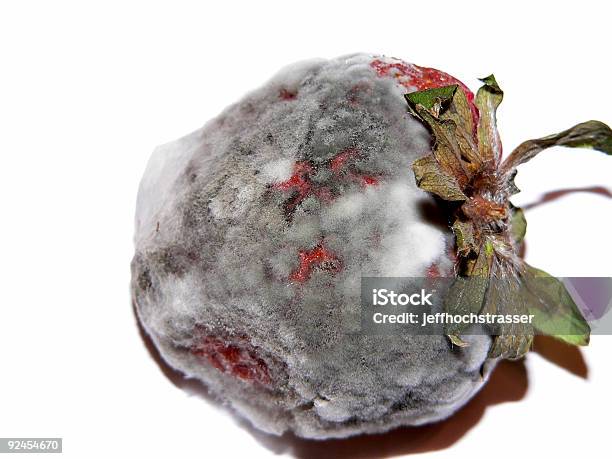 Moldy Fresa Foto de stock y más banco de imágenes de Cabello gris - Cabello gris, Color - Tipo de imagen, Fotografía - Imágenes