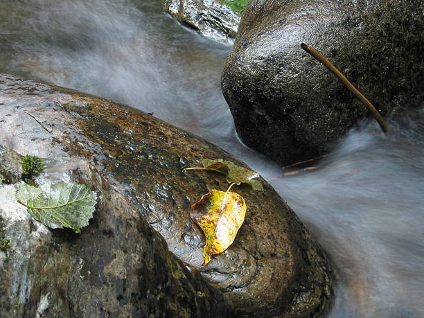 Rocks In Creek #1  sooth stock pictures, royalty-free photos & images