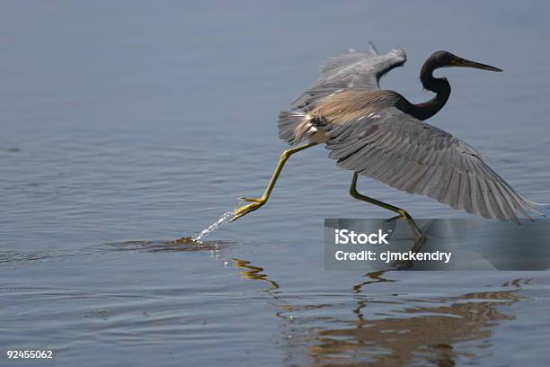 Angeln Stockfoto und mehr Bilder von Abgeschiedenheit - Abgeschiedenheit, Aquatisches Lebewesen, Blau