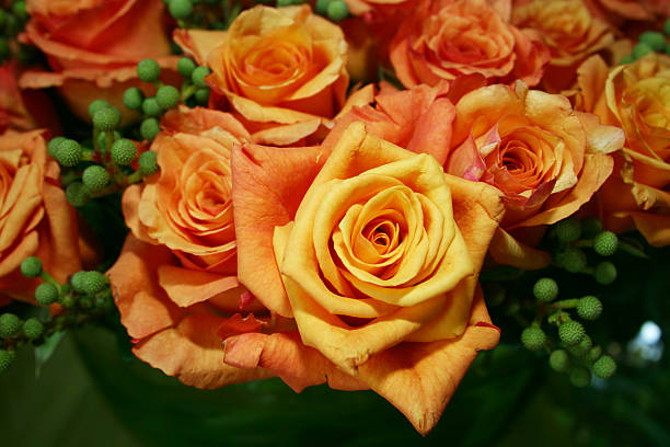 istock vibrant bunch of fresh roses 92455268