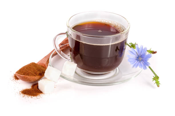 chicory drink and chicory flower isolated on white background - drink brown herb heat imagens e fotografias de stock