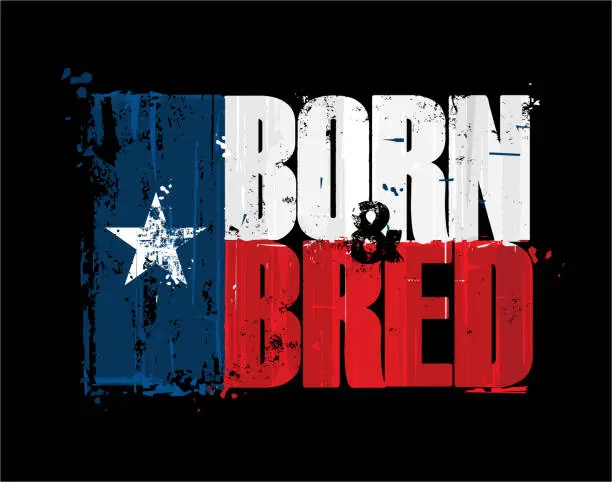 Vector illustration of Texan Flag - Born n Bred