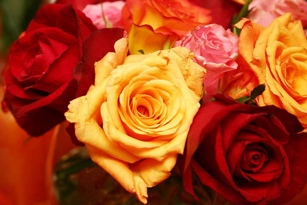 istock bunch of bright roses 92455401