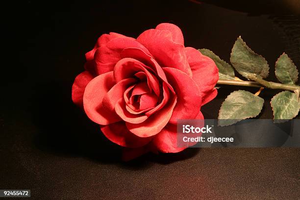 Foto de Estampas De Rosas Sobre Fundo Preto Para O Design Use 1 e mais fotos de stock de Cor Preta