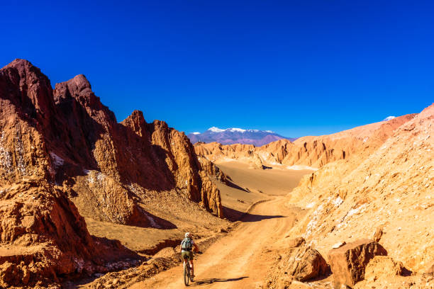 Cyclist in Death Valley by San pedor de Atacama - Chile View on cyclist in Death Valley by San pedor de Atacama - Chile atacama region stock pictures, royalty-free photos & images