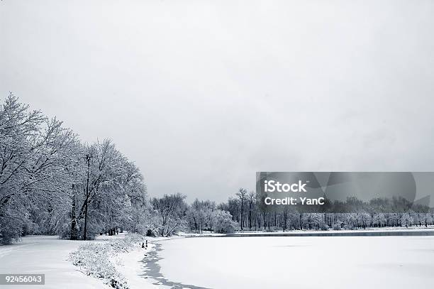 Зима Shore — стоковые фотографии и другие картинки Берег озера - Берег озера, Буддизм, В стиле минимализма