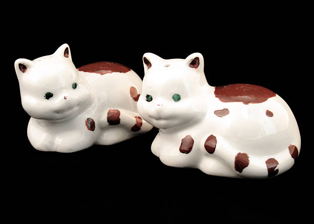 istock Kitty Salt and Pepper Shakers 92456108