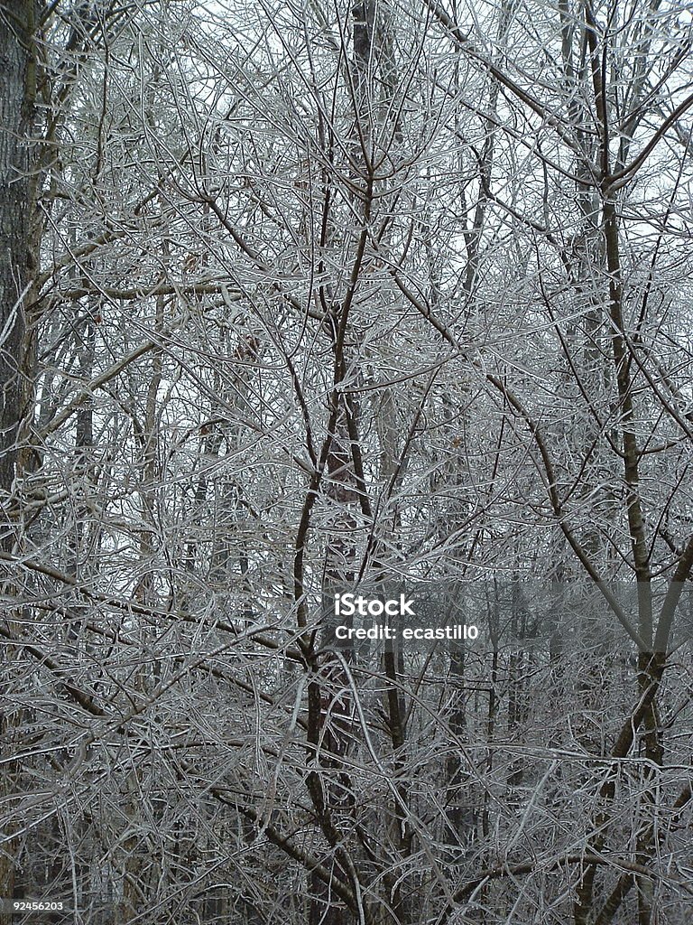 Зимняя страна чудес - Стоковые фото Без людей роялти-фри