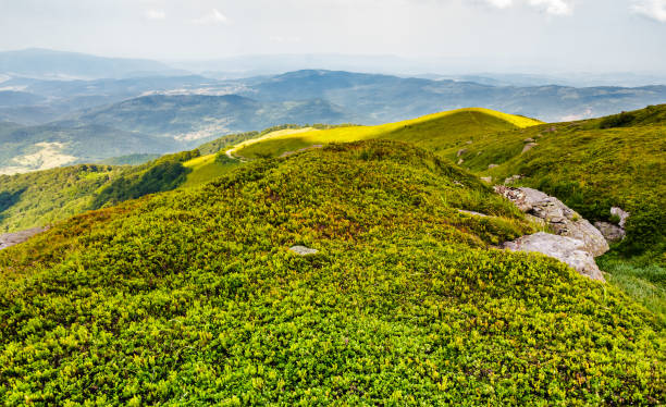 istock beautiful landscape of Carpathian mountains 924562230