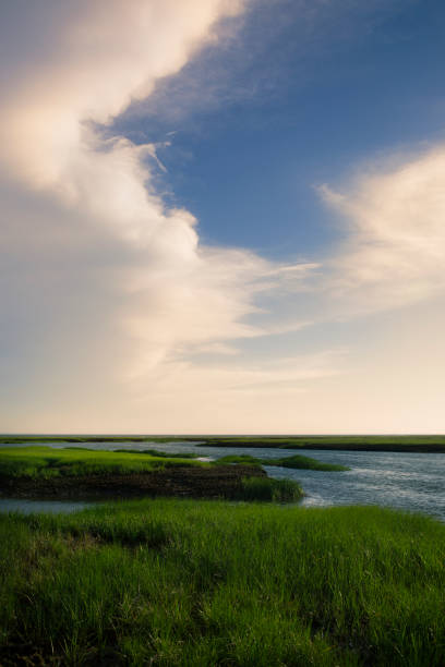 istock Blue sky and clouds over Lieutenant Island, Wellfleet, Cape Cod, Massachusetts. 924565512