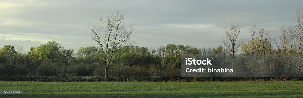 country panorama  Agriculture Stock Photo