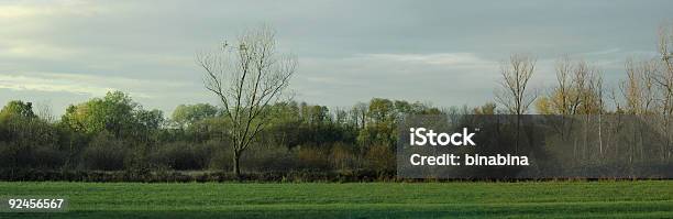 Country Panorama Stock Photo - Download Image Now - Agriculture, Cloud - Sky, Cloudscape