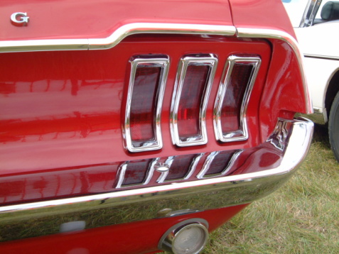 Mustang 02