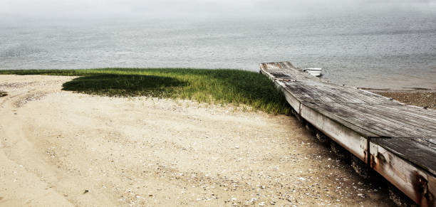 spiaggia sul porto di wellfleet, wellfleet, massachusetts, cape cod - cape cod new england sea marsh foto e immagini stock