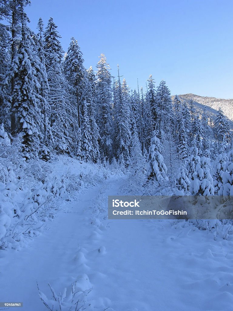 Blau Schnee Montana Mountain Road - Lizenzfrei Baum Stock-Foto