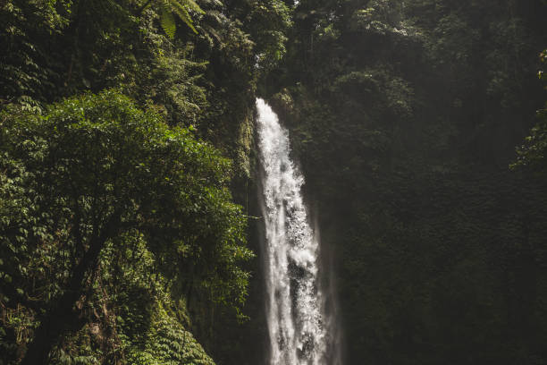 istock Huge waterfall Nung Nung in Bali jungle 924572536