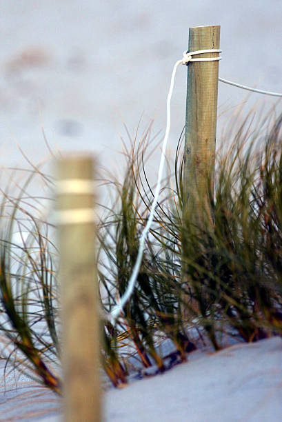 postes en la playa - wooden post wood grass string fotografías e imágenes de stock