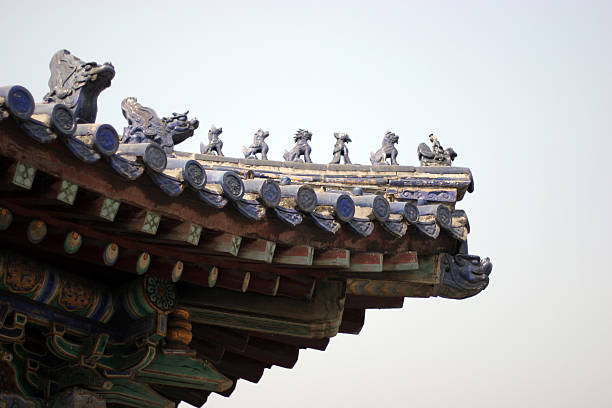 Palace Rooftop - Forbidden City