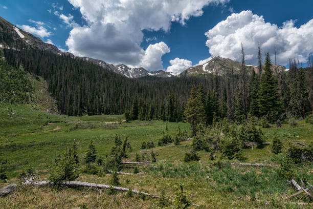 istock Rocky Mountains National Park, Colorado 924575302