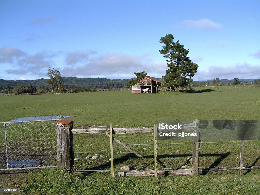 Old Barn im Paddock - Lizenzfrei Agrarbetrieb Stock-Foto