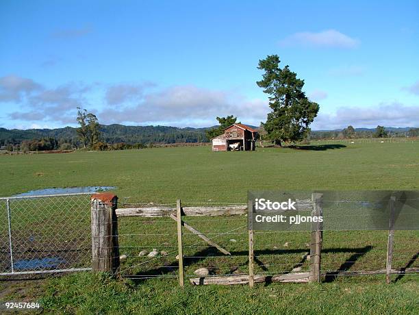 Old Barn Im Paddock Stockfoto und mehr Bilder von Agrarbetrieb - Agrarbetrieb, Alt, Baum