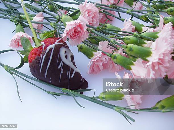 Chocolate Covered Strawberry Flowers Stock Photo - Download Image Now - Beauty In Nature, Candy, Carnation - Flower