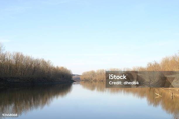 Howell Wyspa Rzeka Missouri - zdjęcia stockowe i więcej obrazów Bez ludzi - Bez ludzi, Drzewo, Fotografika