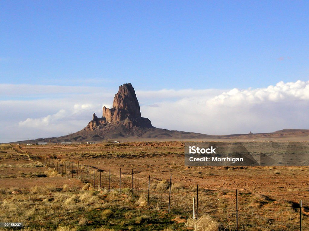 Vale do monumento 2 - Foto de stock de Animal selvagem royalty-free