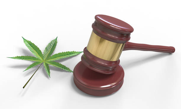 istock Gavel and Cannabis leaf isolated on white 924593228