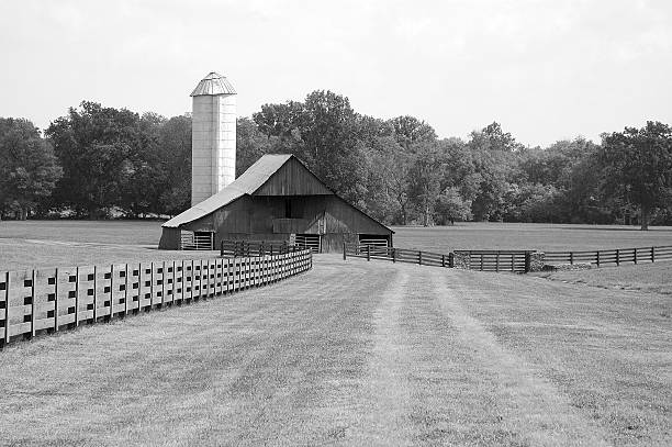 barn fence meadow stock photo