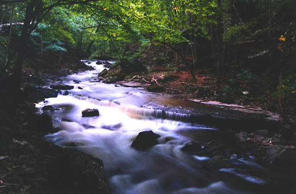 Mystical Stream stock photo