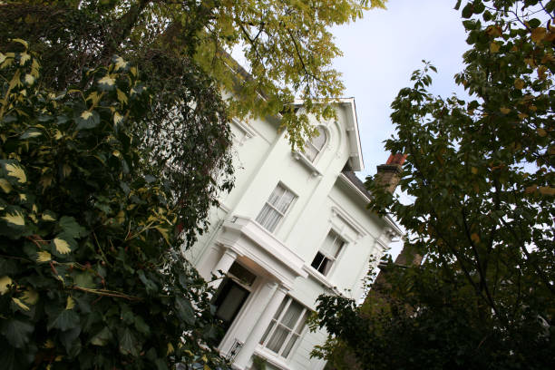 Large London White House through trees