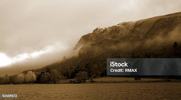 Lago Edge - Fotografie stock e altre immagini di Acqua - Acqua, Albero, Ambientazione esterna