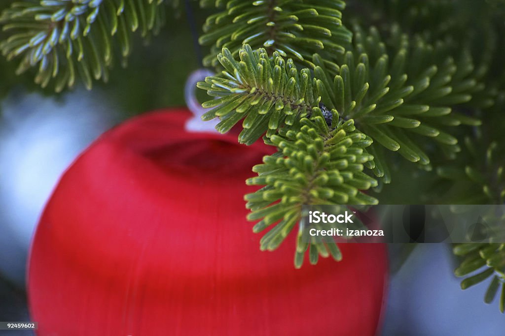 Christmas ornament  Branch - Plant Part Stock Photo