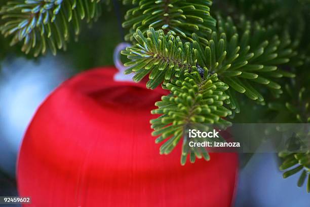 Christmas Ornament Stock Photo - Download Image Now - Branch - Plant Part, Celebration, Celebration Event