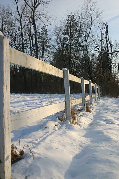 istock Wood fence in winter 92459753