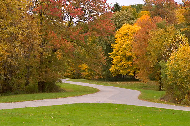 Autumn stock photo