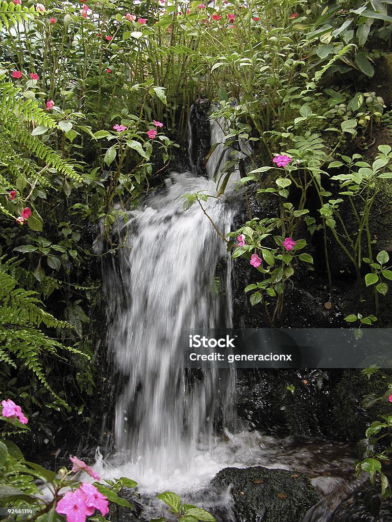 Cascade  Cleaning Stock Photo