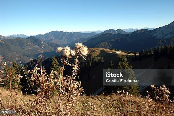 Góry - zdjęcia stockowe i więcej obrazów Alpy - Alpy, Bez ludzi, Fotografika