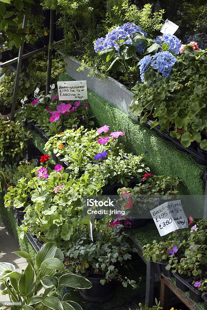 Растения в флористами Купить London - Стоковые фото Без людей роялти-фри